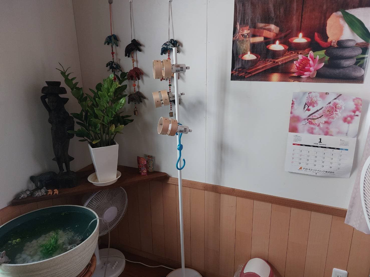 店内の落ち着いた雰囲気